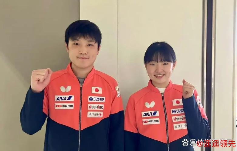 伊藤美诚无缘巴黎奥运会 张本智和兄妹将携手出征