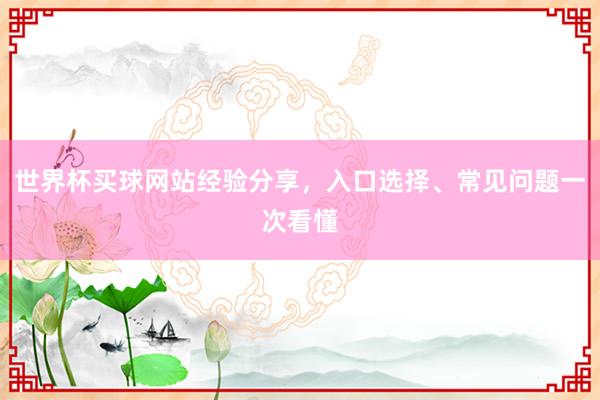世界杯买球网站经验分享，入口选择、常见问题一次看懂
